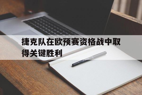 捷克队在欧预赛资格战中取得关键胜利